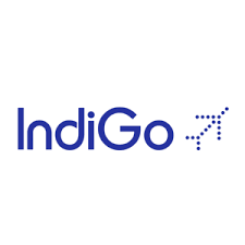 Indigo Airline