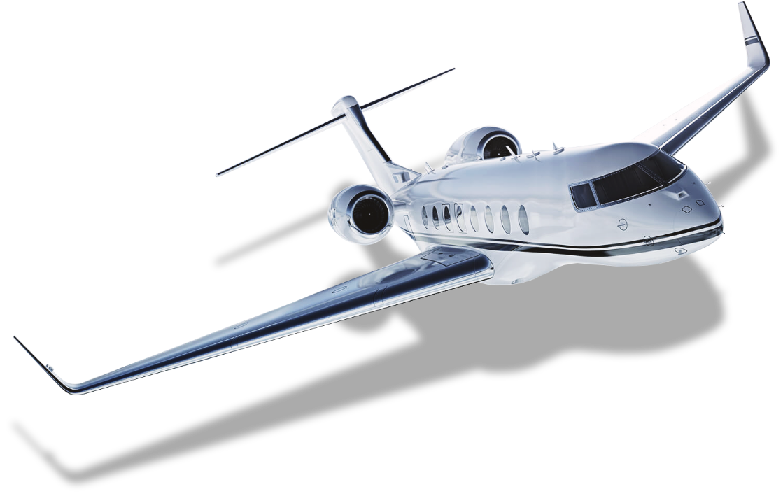 Flyymingo Aviation Academy